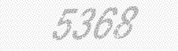 Visual security code — type the characters shown in the image